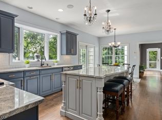 19 Brookrace Dr, Mendham, NJ 07945