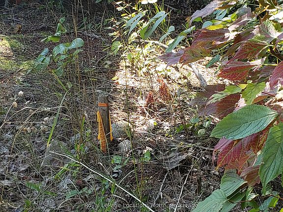 3rd image of 23 Stoney Rd