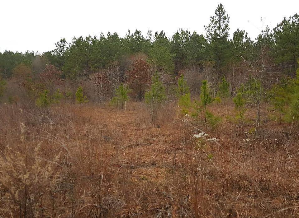 2nd image of Shirley Store Rd