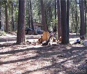 4th image of 25 Leaf Ln
