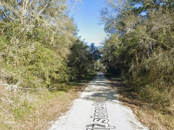 Chipstone St Lot 5, Webster, FL 33597