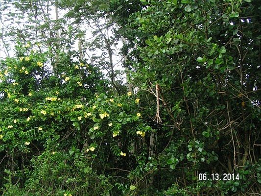 2nd image of 26th Ave