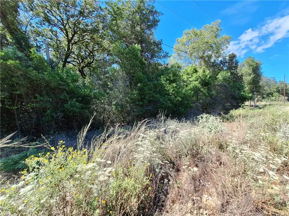Cedar Dr, Caldwell, TX 77836