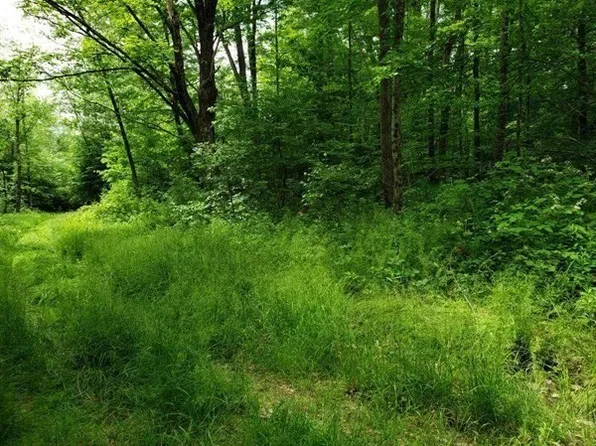 0 Campbell Rd, Chester, MA 01011