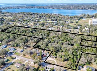 7125 Holly St, Mount Dora, FL 32757