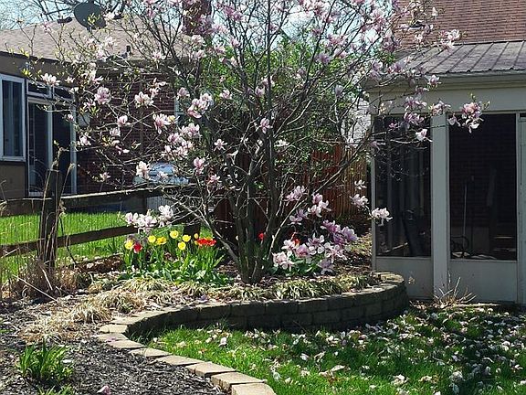2nd image of 508 Rosemont Ave