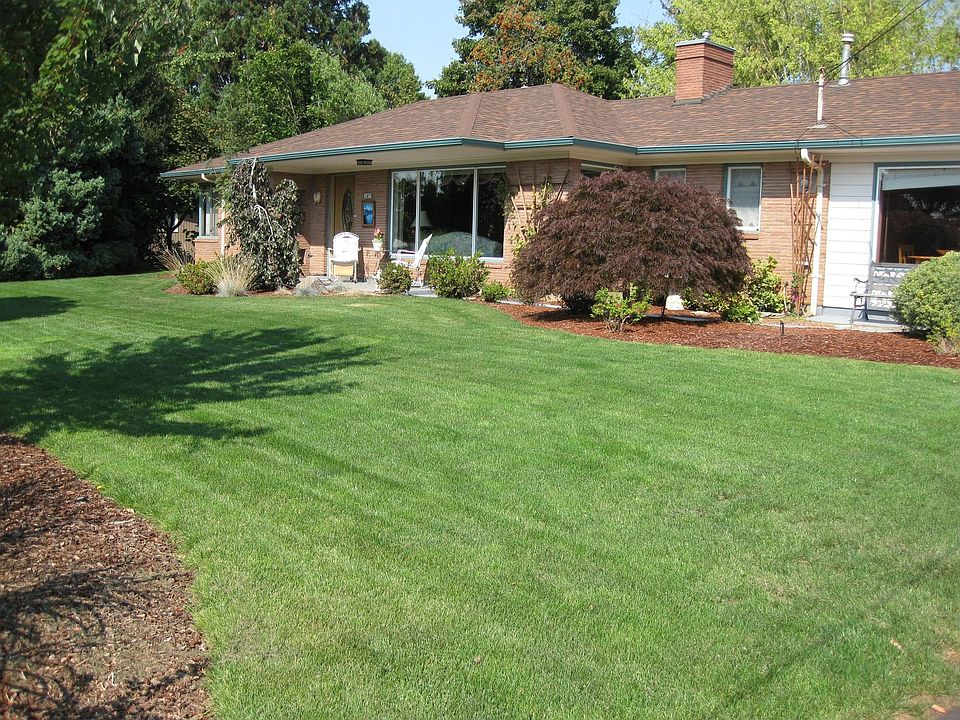 Beautiful Front Yard