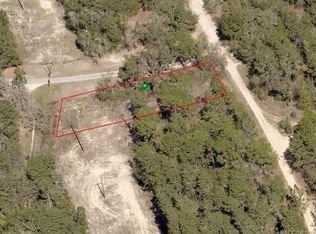 217 Webhill Ave, Inverness, FL 34452