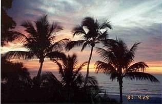 1st image of 10217 Gulf Shore Dr