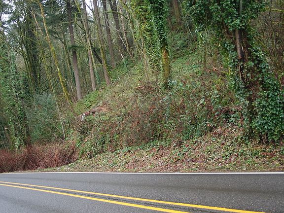 5th image of 0 S Clackamas River Dr