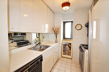 Sold by Carol E Levy