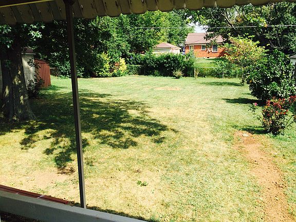 Rear Yard
