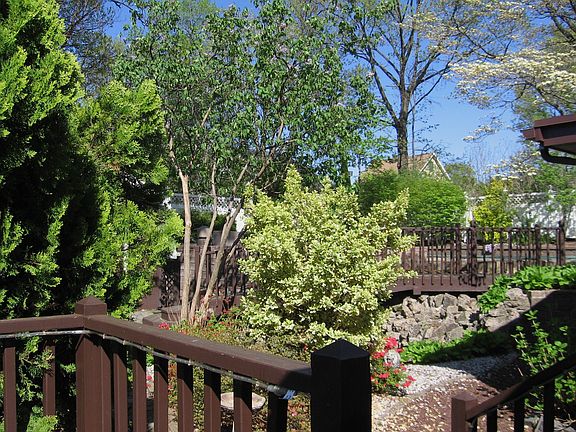Deck, briudge wooded lot