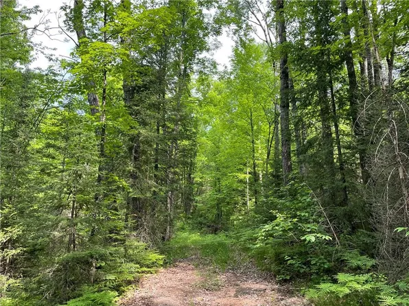 On Griffith Road, Butternut, WI 54514