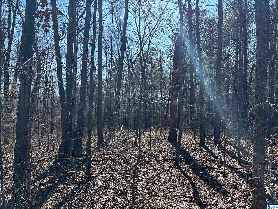 1st image of 27/ACRE S County Road 71 #1