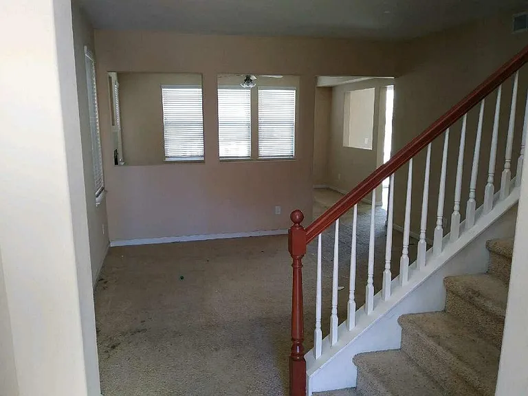 3834 Dominus Dr — Photo 10