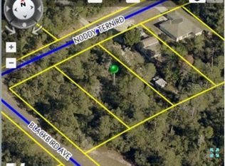 9412 Noddy Tern Rd, Weeki Wachee, FL 34613