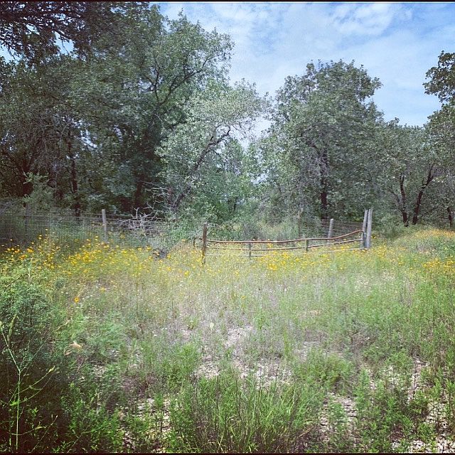 1st image of 645 Marshall Ln #2