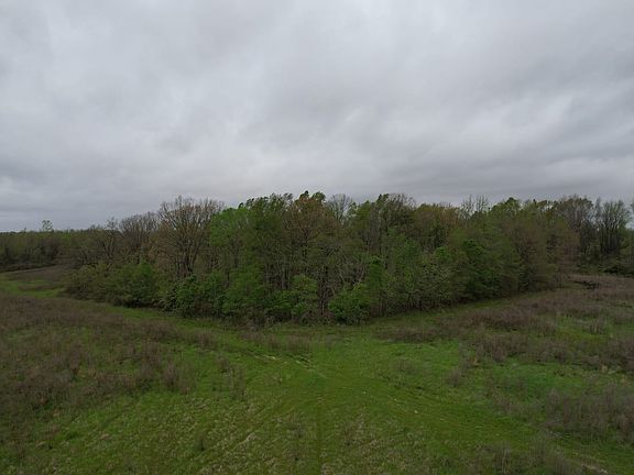 Dji Fly 20260331 091228 139 1774966526085 Photo