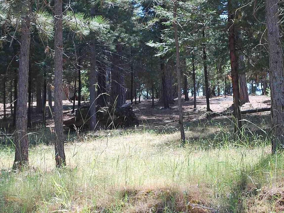 1st image of 20769 Buttercup Cir #4