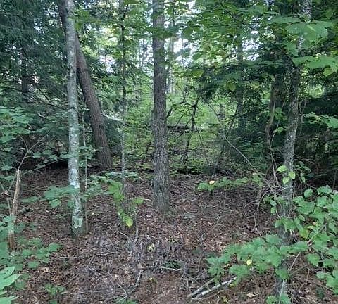 4th image of 33 Lake Shore Dr Lot 33