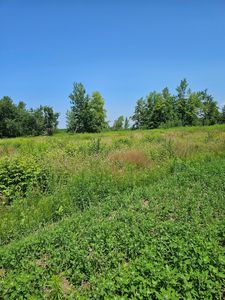 Hooper Creek Loop, Baudette, MN, 56623