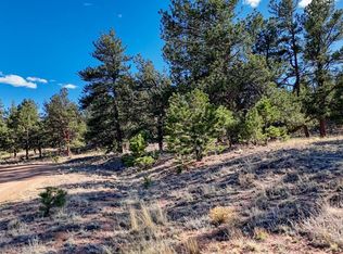 L5124 Arikara Trl LOT L5124, Hartsel, CO 80449
