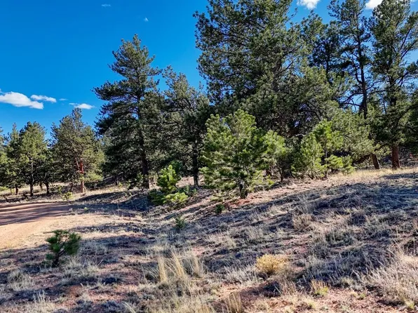 L5124 Arikara Trail LOT L5124, Hartsel, CO 80449