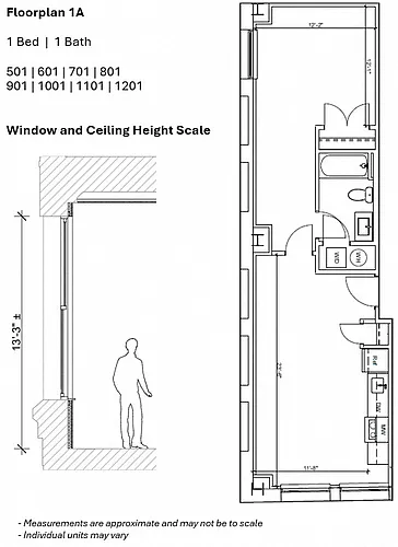 Floor plan 1BR 1A