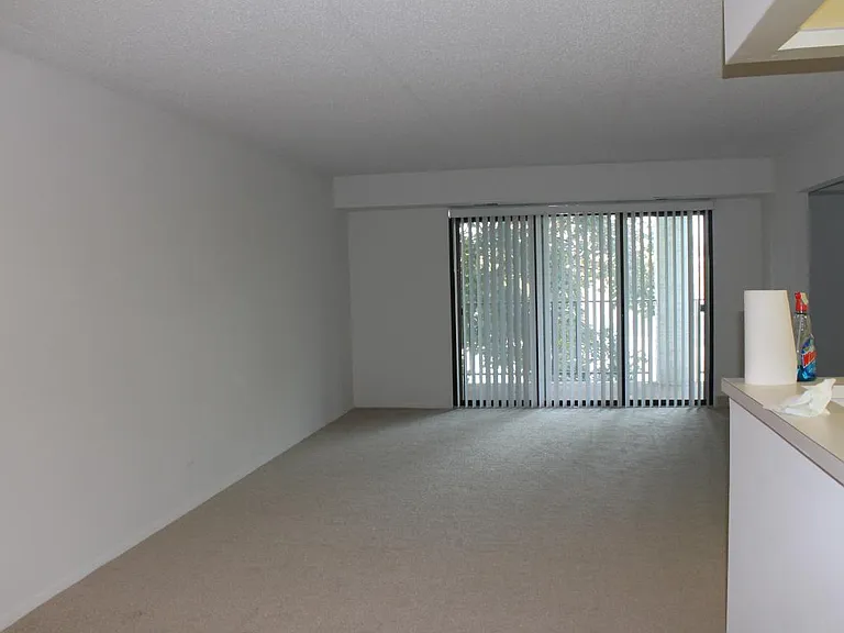 475 Plum Creek Dr #506 — Photo 4