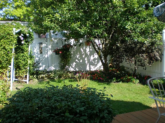 Cozy back yard
