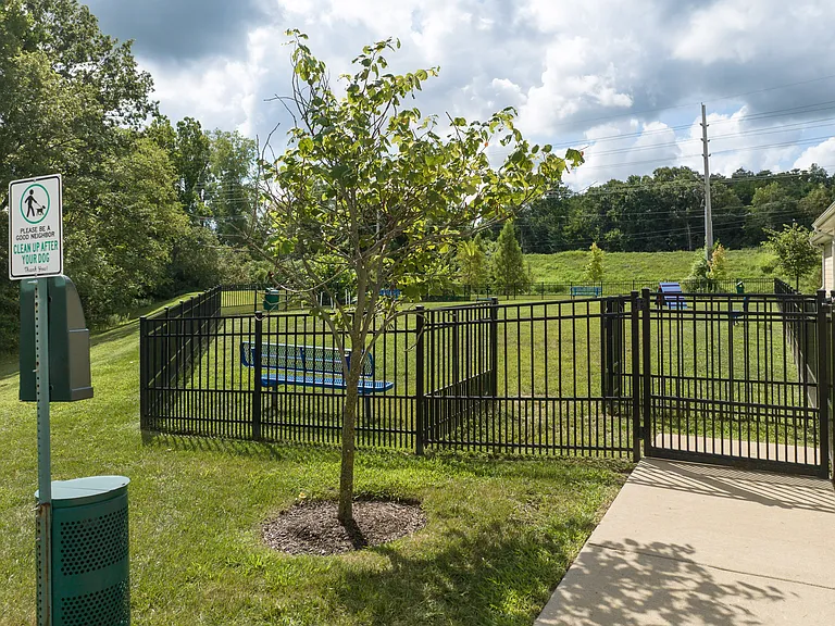 Dog Park