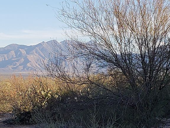 Back patio view