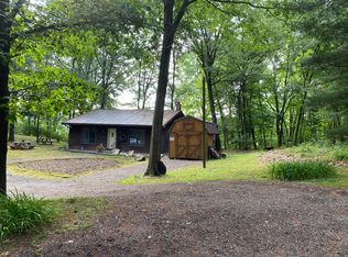 10221 Guernsey Lake Rd, Delton, MI 49046