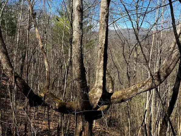 0 Leon Barron Rd, Sylva, NC 28779