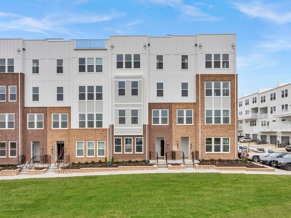 19864 Yellow Daisy Ter