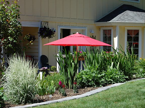 Kitchen Garden