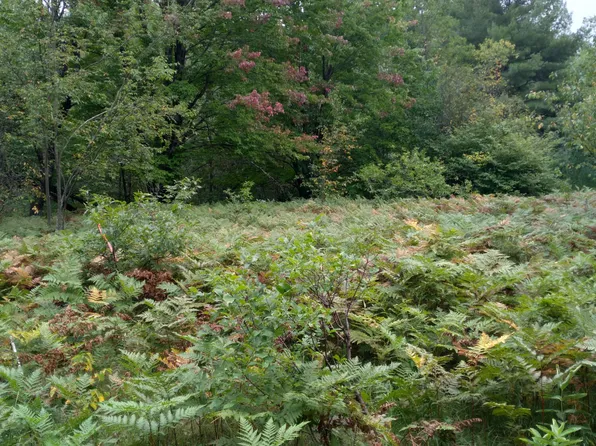 Hidden Lake Trl, Elmira, MI 49730