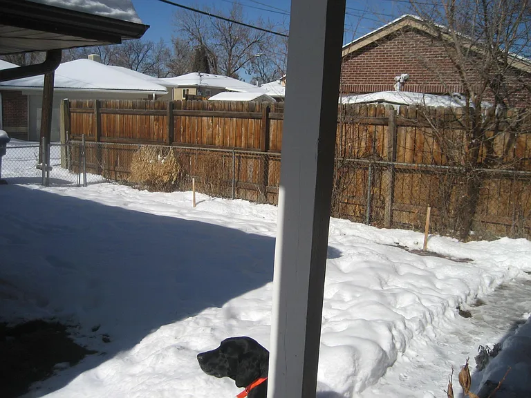 Large fenced backyard. Perfect for a dog and BBQ.
