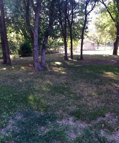 1212 Mockingbird St — Photo 19