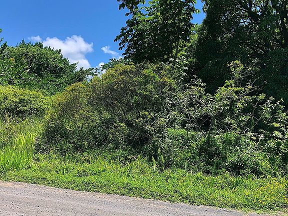 2nd image of 3rd Ave Lot 2657
