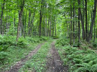 1165 Coaster Rd, Trenary, MI 49891