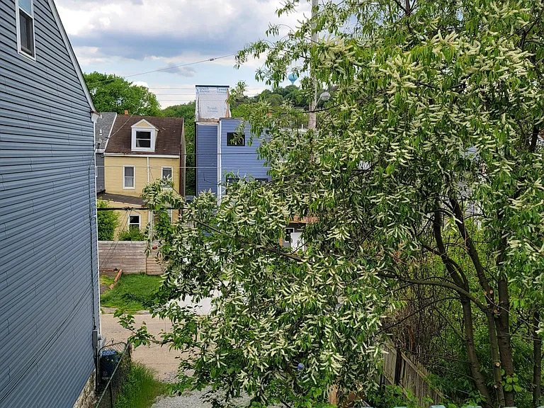 Deck view
