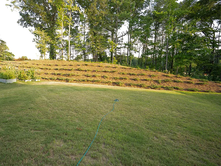 231 Alderbranch Cir — Photo 38