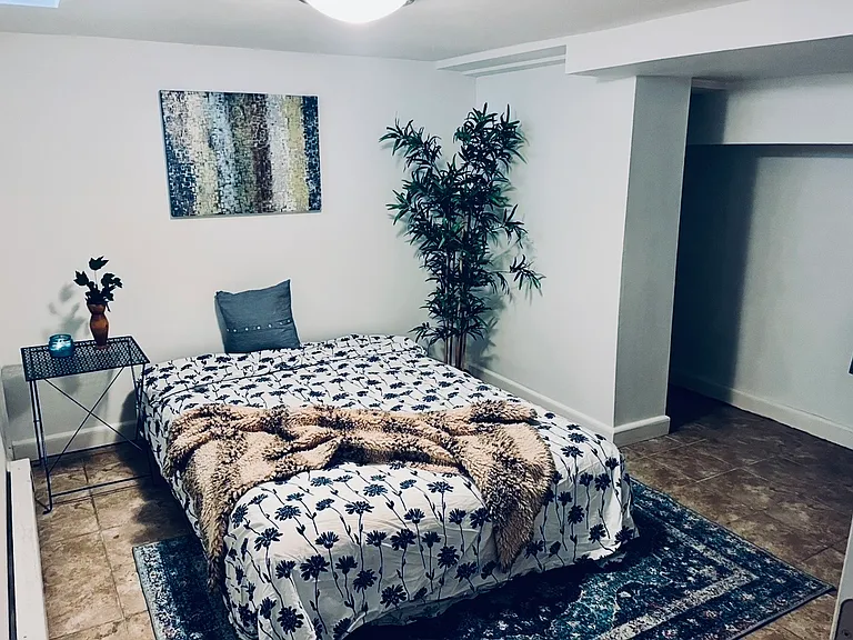 Bonus Basement room!