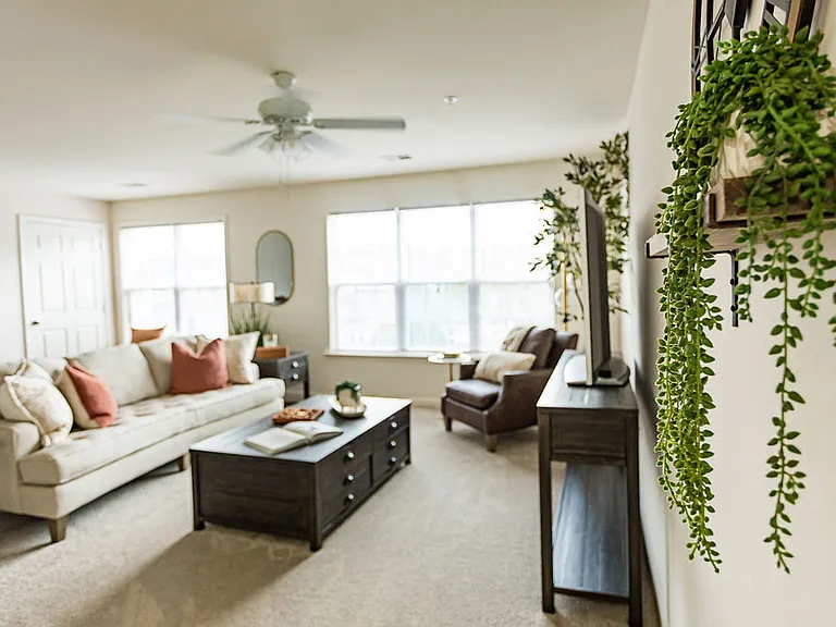 The Pointe at Peters Creek — Photo 24