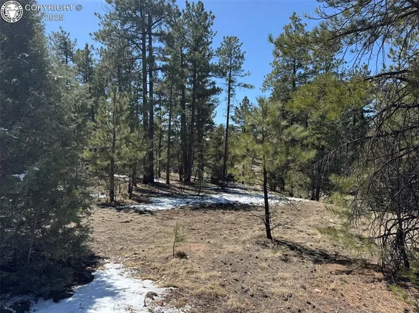 1426 M Path, Cotopaxi, CO 81223