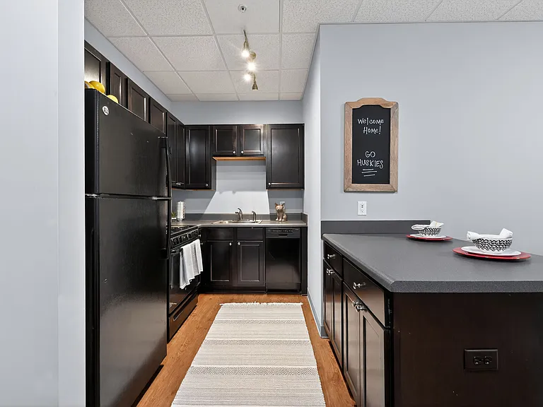 Modern Kitchen with Wood-Style Flooring and Black Appliances at University Plaza NIU Apartments