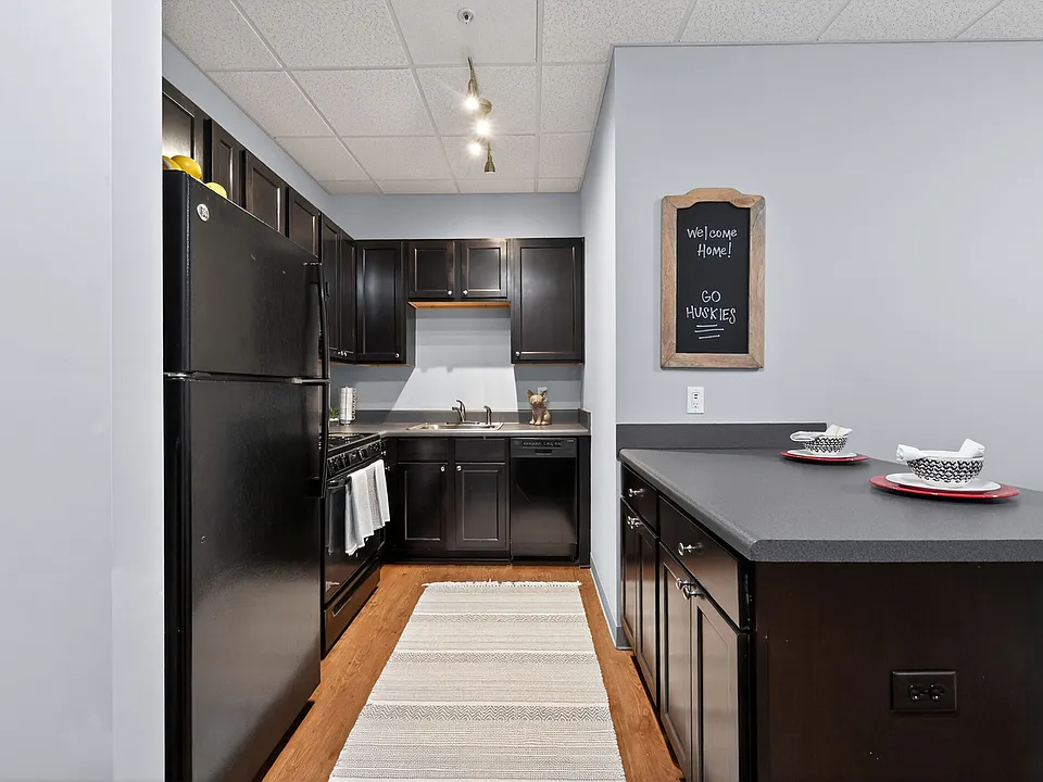 Modern Kitchen with Wood-Style Flooring and Black Appliances at University Plaza NIU Apartments