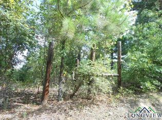 Tbd Petunia 4 88 Or Ac South End, Ore City, TX 75683